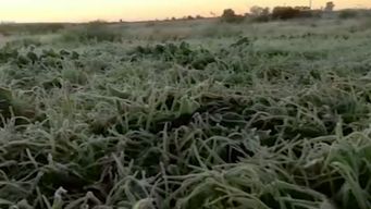 fin de semana muy frio y con lluvias aisladas; el domingo ingresa masa de aire polar con minimas bajo cero