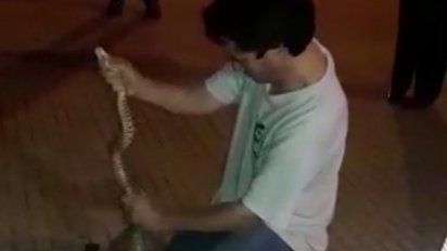 serpiente de mas de un metro fue capturada en la rambla de carrasco