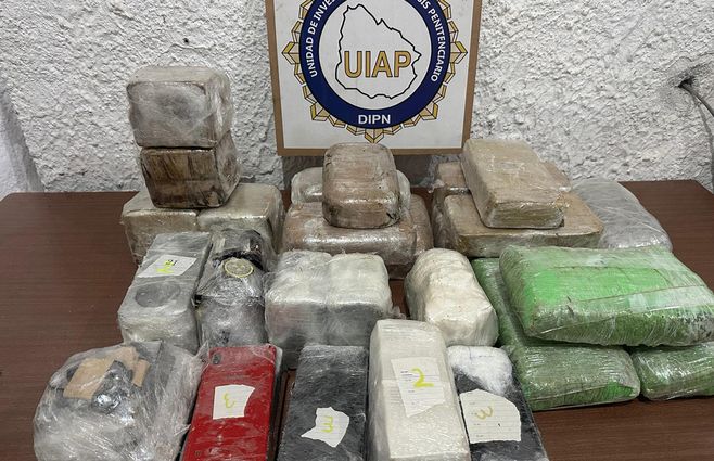 drogas-incautadas-comcar