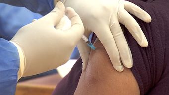 msp recomienda darse la vacuna contra la gripe antes del invierno