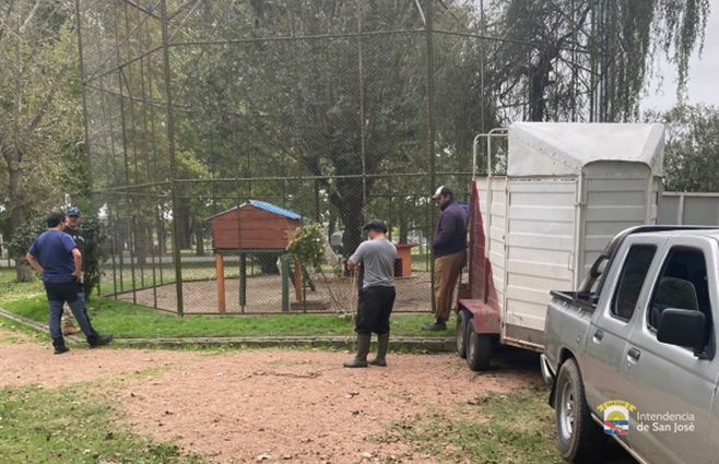 Zoológico de San José. Foto: Intendencia de San José.&nbsp;