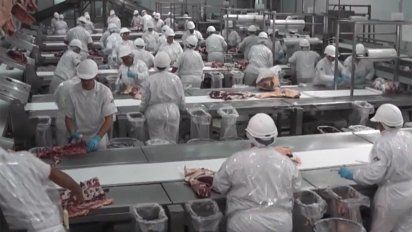 carne uruguaya reingresara al mercado japones