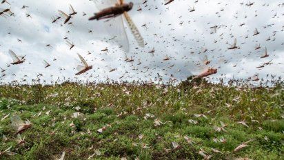 Foto: publicada por el MGAP.