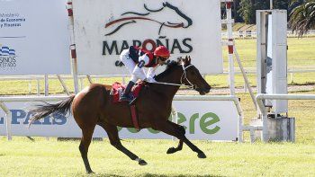 Subrayado | MICRO TURF 9 D MAY