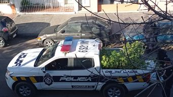 7 detenidos e incautan 135 plantas de marihuana, pasta base y $ 400.000