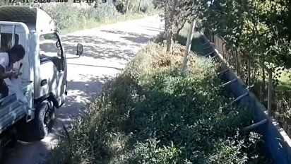 captan en video a mujer tirando cachorros en la puerta de el refugio