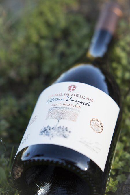 Mejor vino tinto de Uruguay es de Bodega Familia Deicas