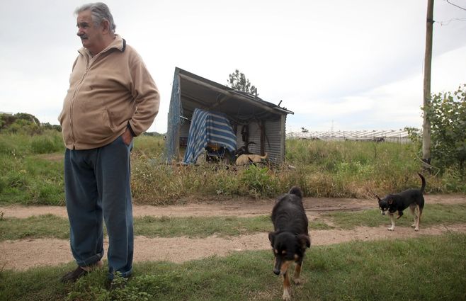 mujica-en-la-chacra-con-perritos.jpg