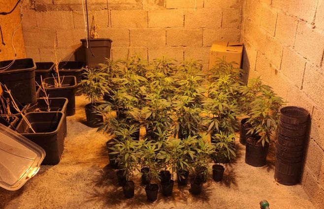 Foto operación maléfica 3.jpg