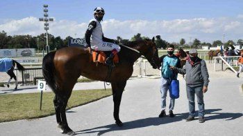 Subrayado | MICRO TURF 14 D OCT