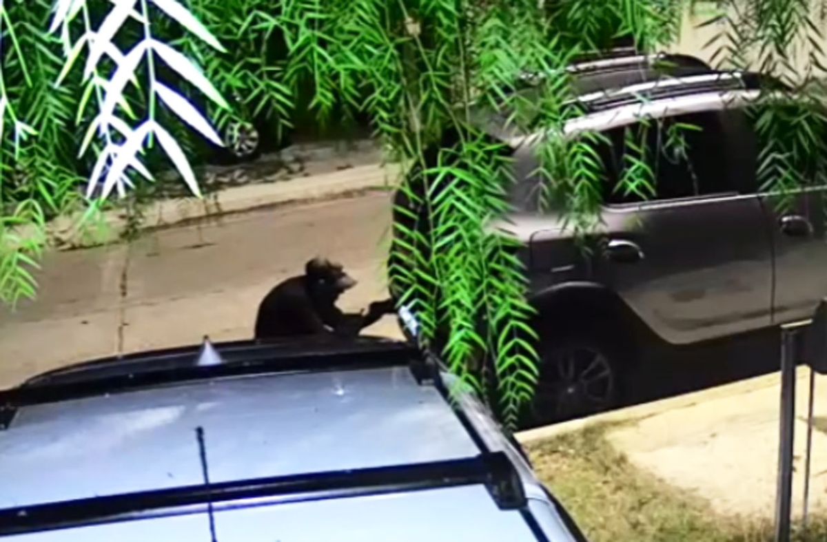 Con destornillador, delincuente robó más de 15 chapas matrículas de vehículos estacionados en Prado