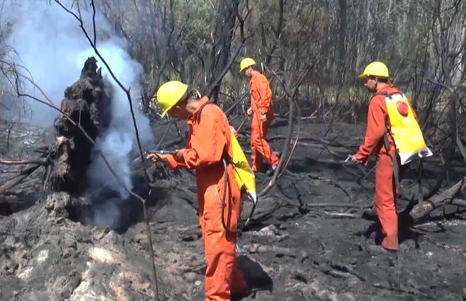 bomberos-incendio-la-esmeralda-humo.jpg