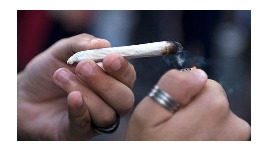 marihuana