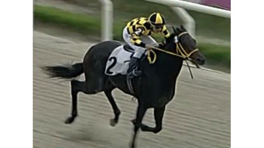 Turf: Sir Fever gano por varios cuerpos el Clásico Lavalleja