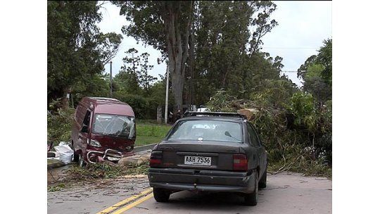 Árbol cayó sobre dos vehículos con pasajeros en Lezica
