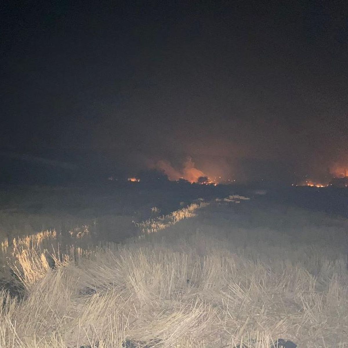 Incendio en Algorta alcanza 5.000 hectáreas y autoridades evalúan evacuación masiva