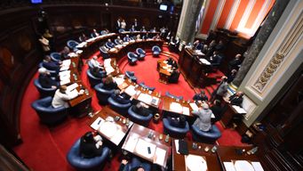 blancos y colorados se retiran de la coordinacion del senado tras decision del fa de iniciar proceso para sancionar a da silva