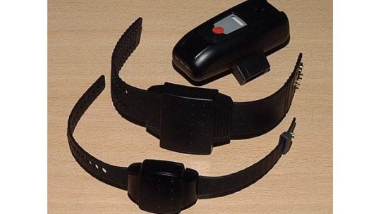 Violencia de género: colocan primeras pulseras a agresores