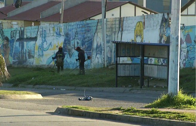 Foto: Canal 10. En la mañana de este martes se observaban funcionarios cortando el césped cerca del lugar de la convocatoria.