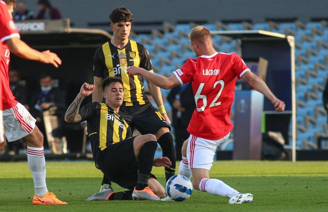 WhatsApp Image 2022-08-21 at 5.27.29 PM.jpeg