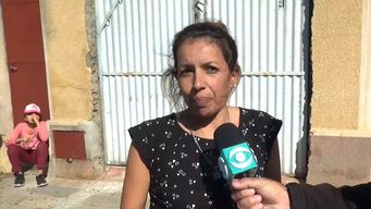 dormian una siesta cuando cayo un pino y destruyo su vivienda