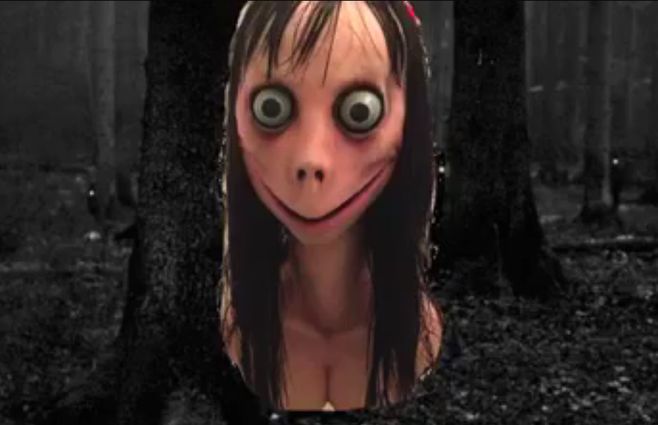 momo-regreso.jpg