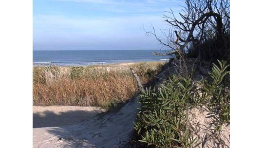 Justicia investiga macabro crimen en Playa Zabala