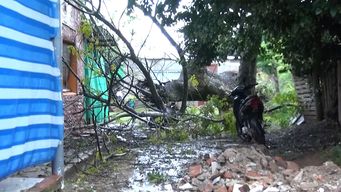 arboles caidos, voladura de techos y danos en plazas y parques