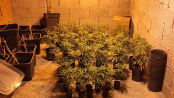 dos mujeres y 20 hombres detenidos tras allanamientos en varios departamentos