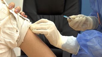 el miercoles comienza la vacunacion contra la gripe; estos son los grupos prioritarios