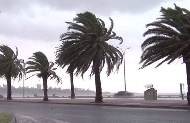 viento-rambla-palmeras.jpg