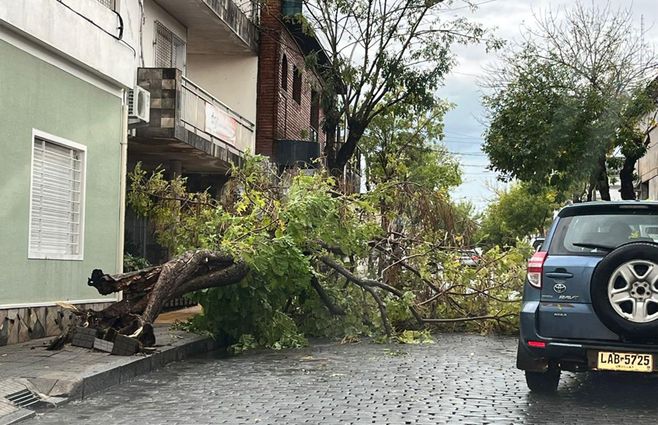 voladuras mercedes.jpg