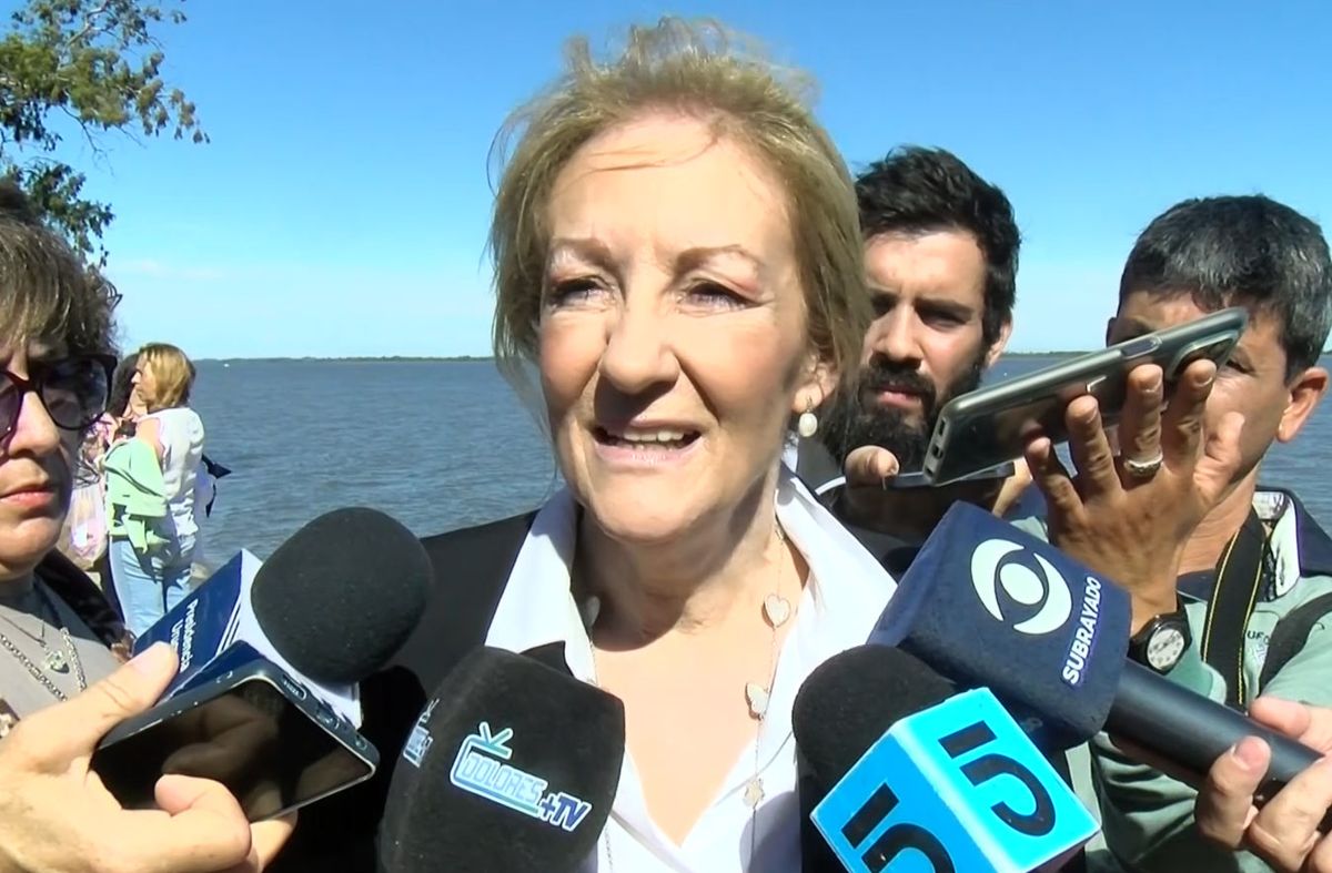 Cosse dijo que no tiene posición sobre regular redes, pero planteó poner "algún límite" a dueños de las plataformas