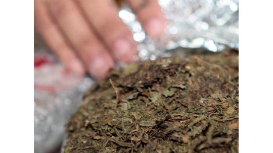 Caen 86 kilos de marihuana en gran operativo policial