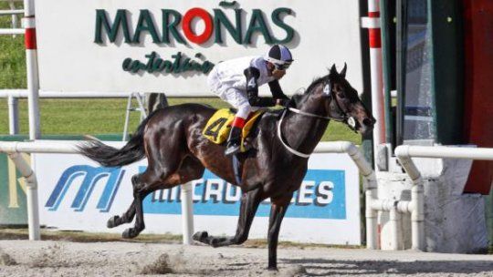 Fitzgerald clasificó para representar a Uruguay en el Latino