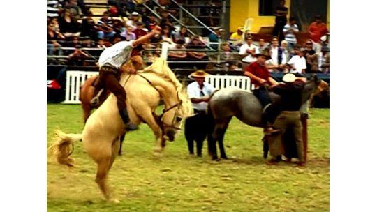 Jineteadas del Prado tendrán monitoreo contra maltrato animal