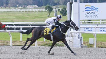 Subrayado | 8 MICRO TURF 15 D JUL