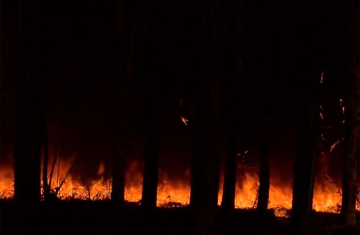 Incendio sin precedentes en Uruguay arrasa con más de 5 mil hectáreas