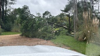 Foto: IDM. Temporal en Maldonado con vientos fuertes.