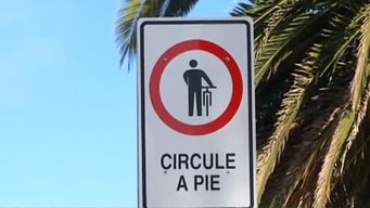 exhortar a ciclistas a circular a pie en la rambla fue por denuncias, dijo director de movilidad