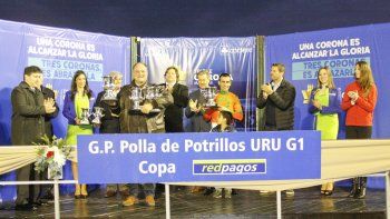 Subrayado | MICRO TURF 3 D SEP