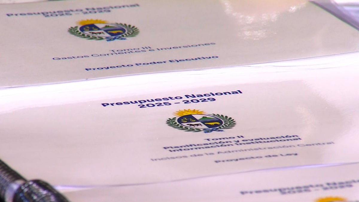 Poder Ejecutivo promulgó la Ley 20.446, que fija el Presupuesto para los próximos cinco años: el texto