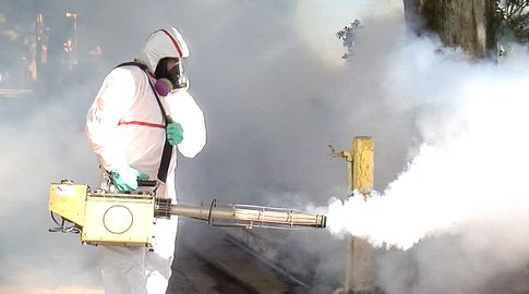 MSP fumiga por control de mosquitos, ante aumento de casos de dengue.
