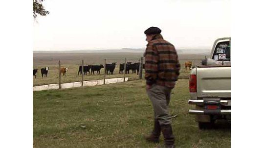 Con el nuevo impuesto gobierno quiere bajar el valor de la tierra