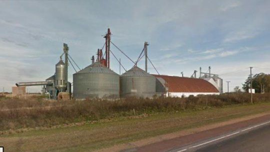 glencore treinta y tres