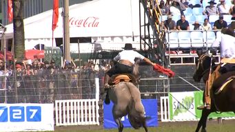 animalistas e imm se reunieron por jineteadas: activistas destacan controles en la capital pero buscan que no se hagan mas