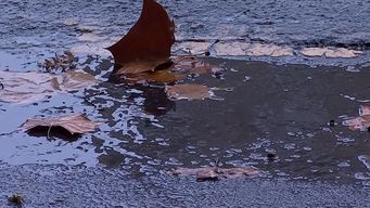 meteorologia extendio la alerta tormentas fuertes y lluvias intensas para varios departamentos