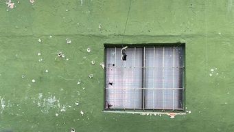 una nina de 9 anos herida de bala tras ataque a su casa en flor de maronas