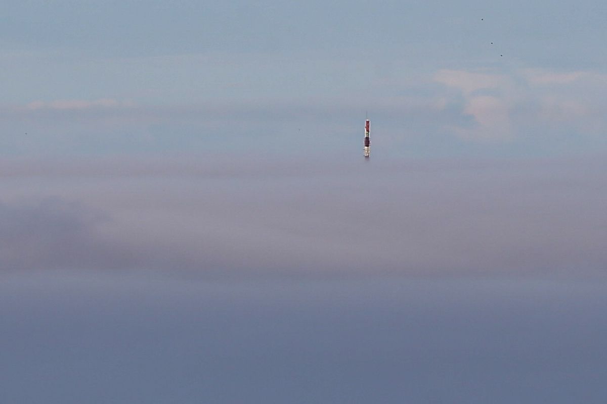 WhatsApp Image 2023-06-16 at 09.34.59.jpeg