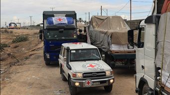 Camiones de la Cruz Roja con ayuda humanitaria para Gaza, en la frontera con Egipto. Foto: archivo AFP.